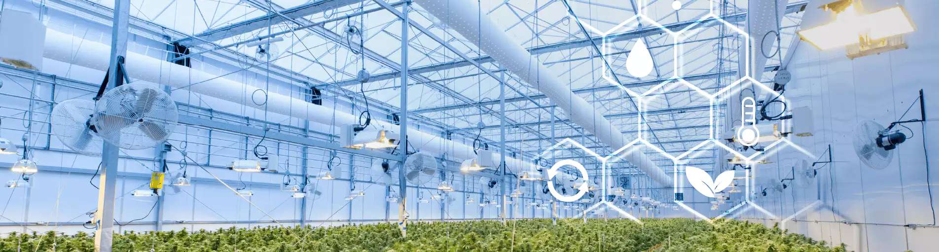 배경 | XISOM SMART FARM